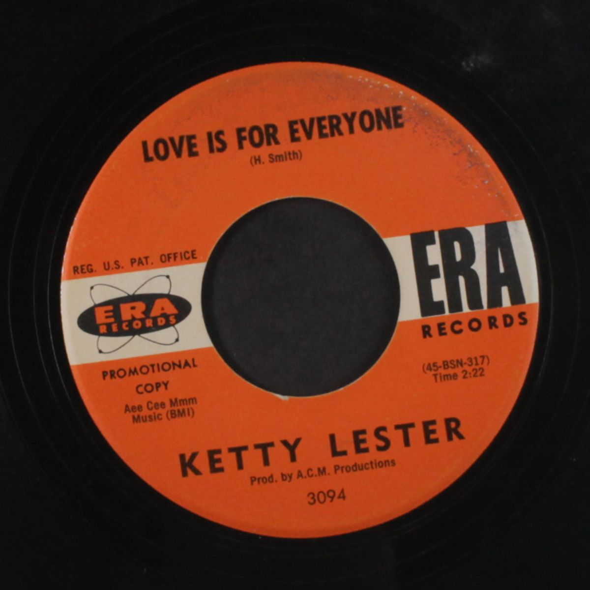 this land is your land / love is for everyone by KETTY LESTER
