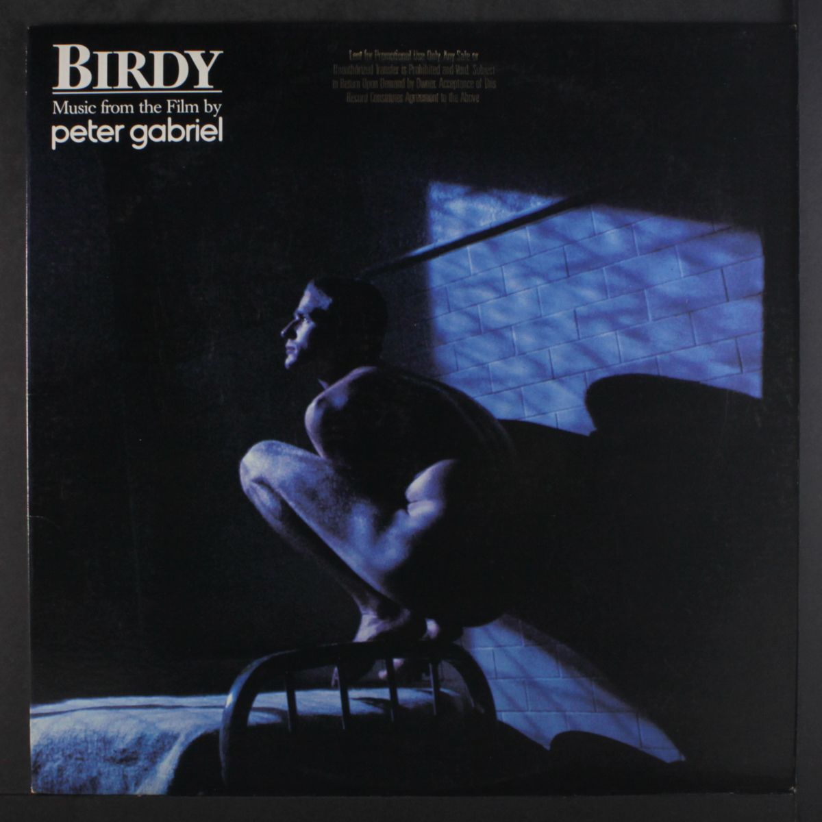 birdy (soundtrack) by PETER GABRIEL