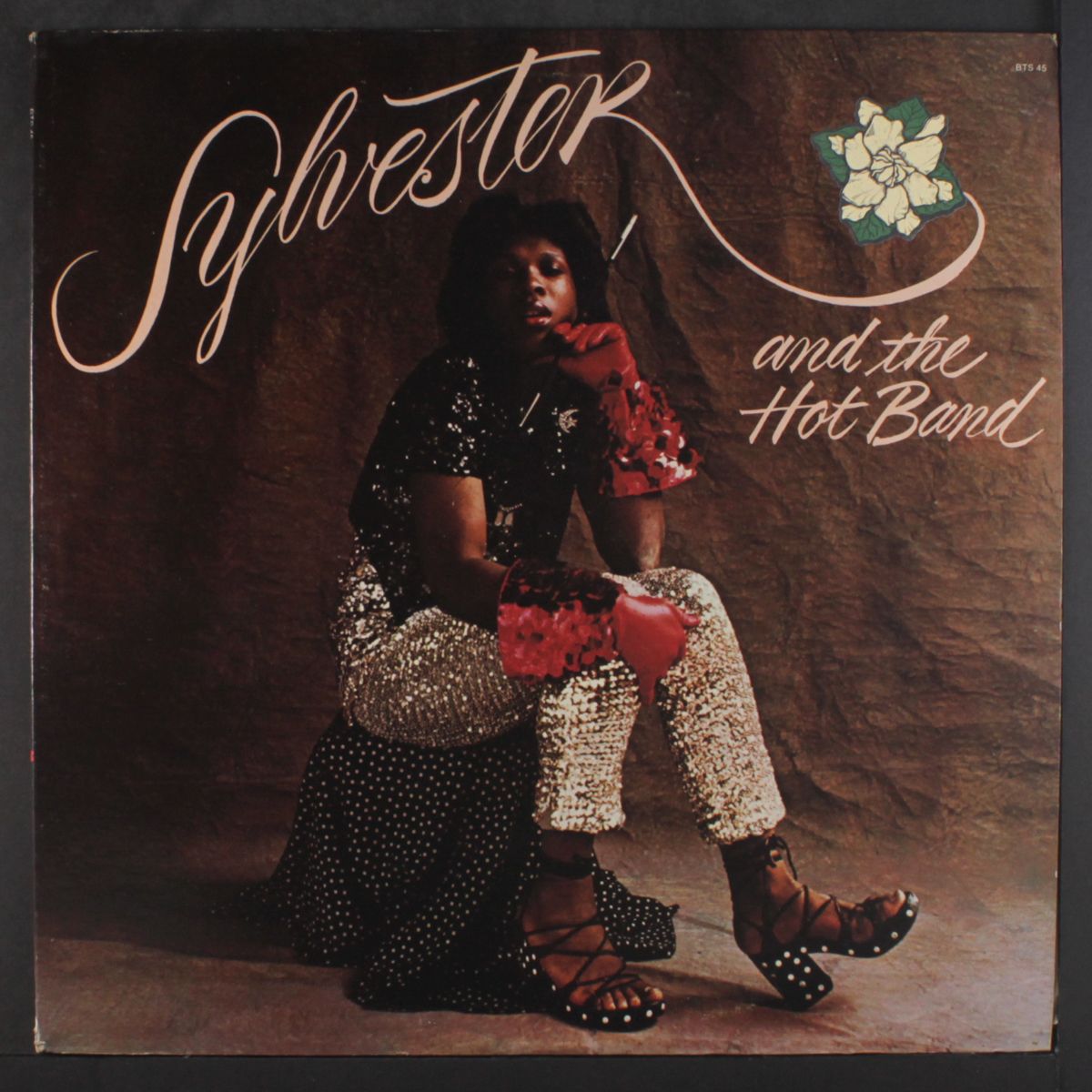 scratch my flower by SYLVESTER & HOT BAND