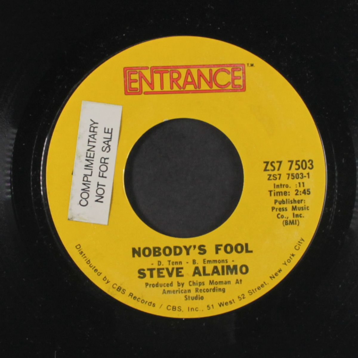 nobody's fool by STEVE ALAIMO