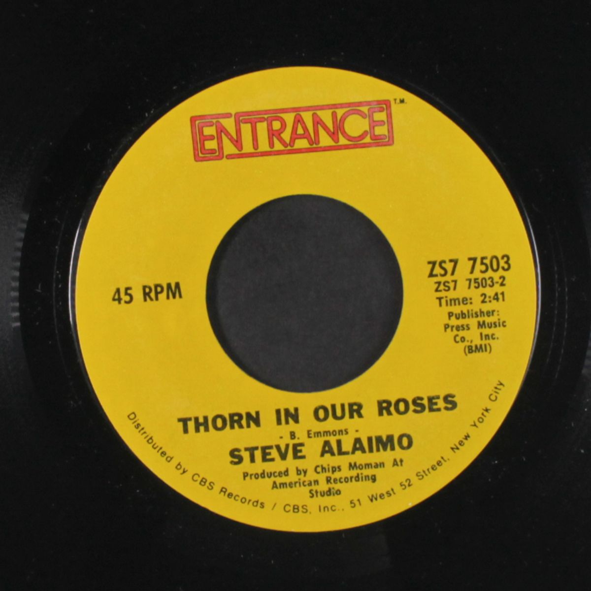 nobody's fool by STEVE ALAIMO