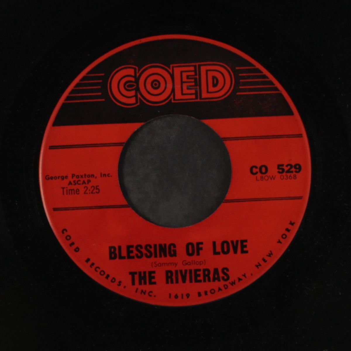 moonlight cocktails / blessing of love by RIVIERAS