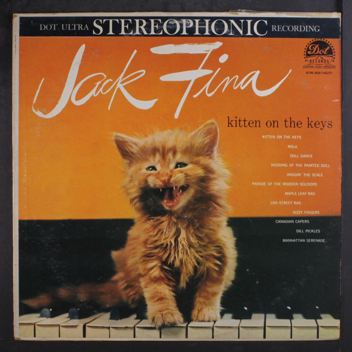 kitten on the keys by JACK FINA