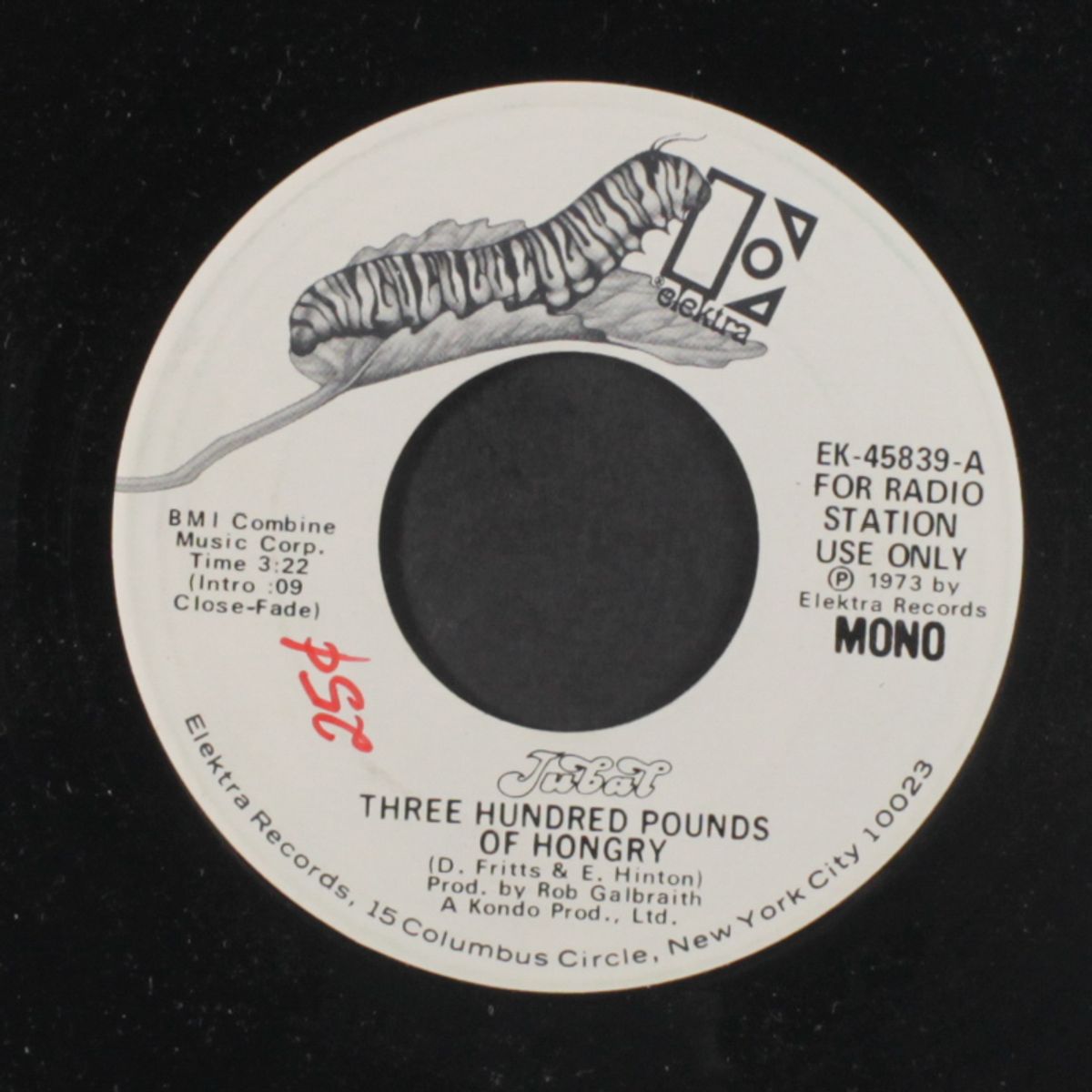three hundred pounds of hongry / mono by JUBAL
