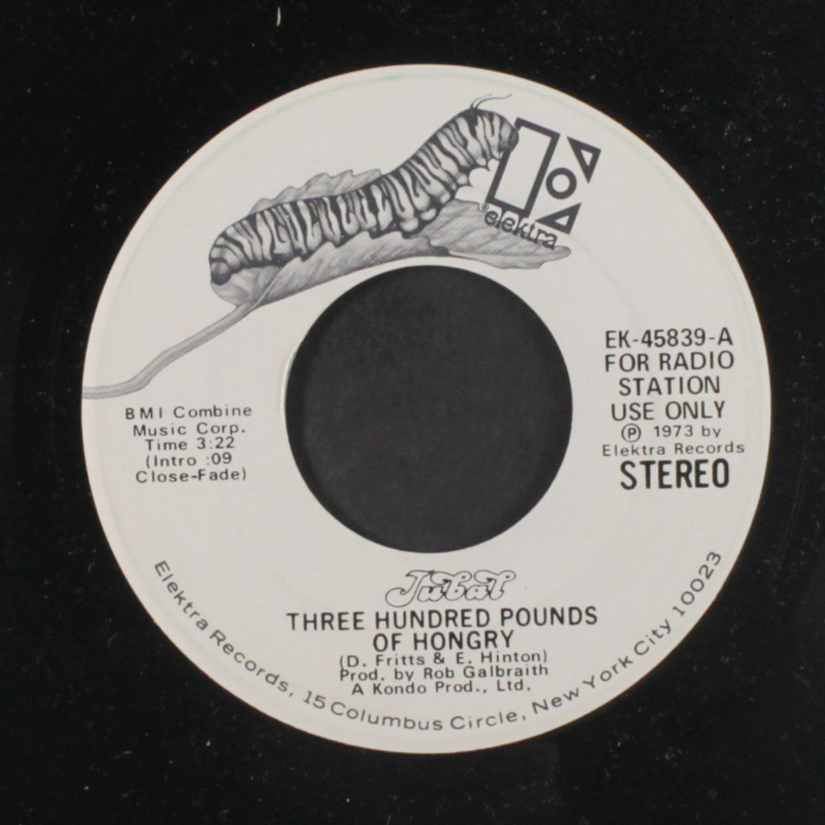 three hundred pounds of hongry / mono by JUBAL