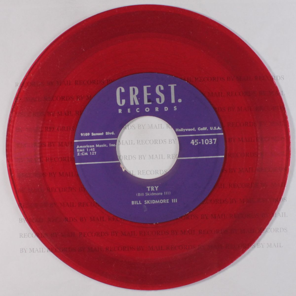 i can't understand / try by BILL SKIDMORE III