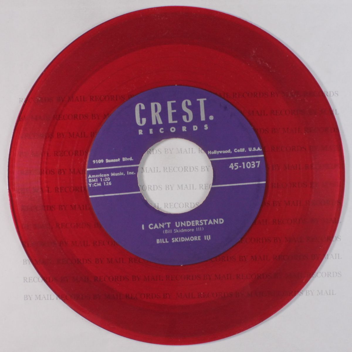 i can't understand / try by BILL SKIDMORE III