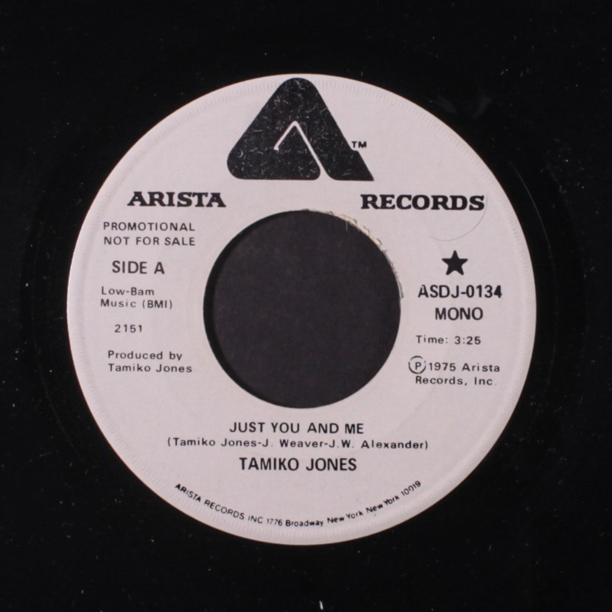 just you and me / mono by TAMIKO JONES
