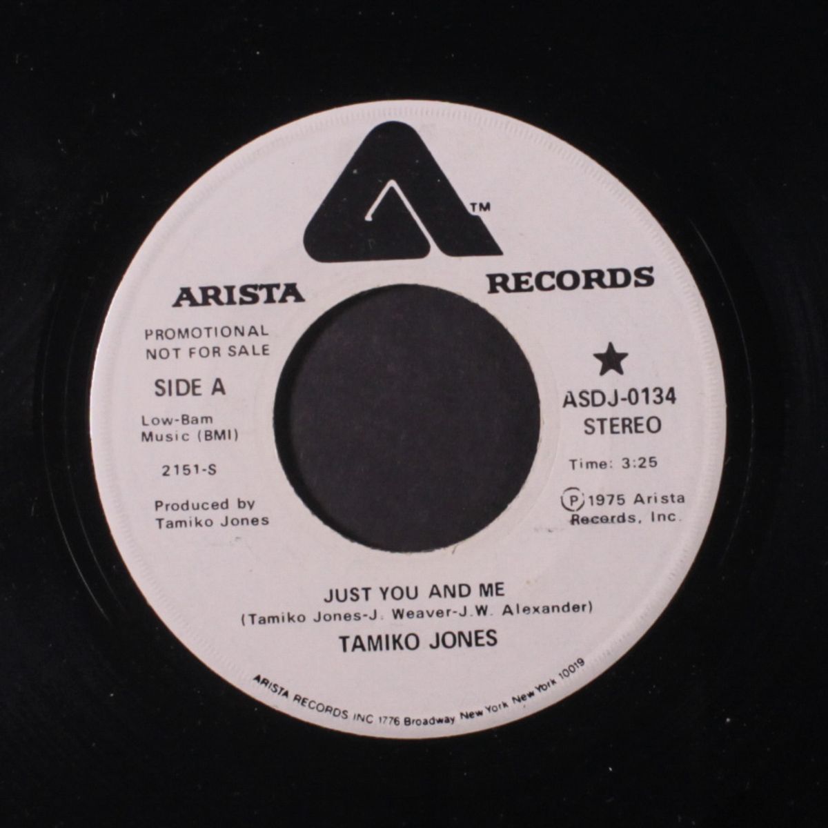 just you and me / mono by TAMIKO JONES