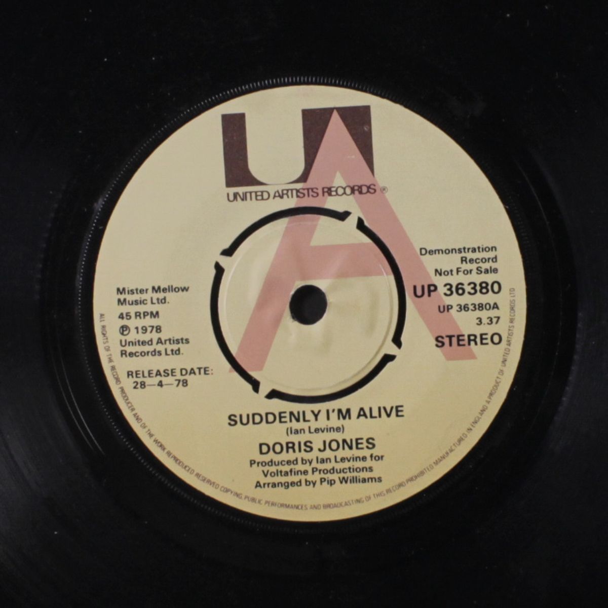 suddenly i'm alive / possessed by DORIS JONES