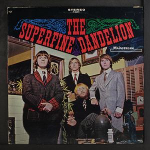 SUPERFINE DANDELION