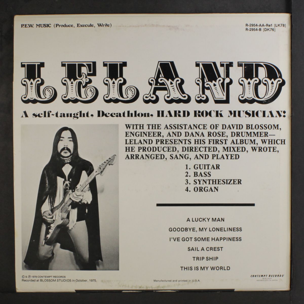 this is my world by LELAND