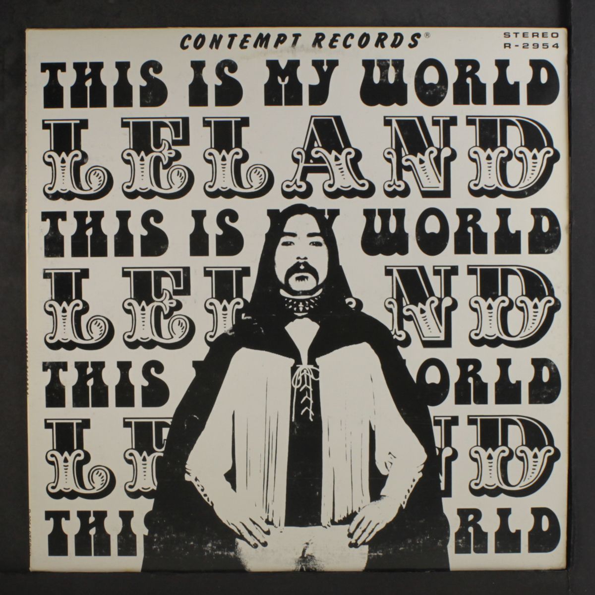 this is my world by LELAND
