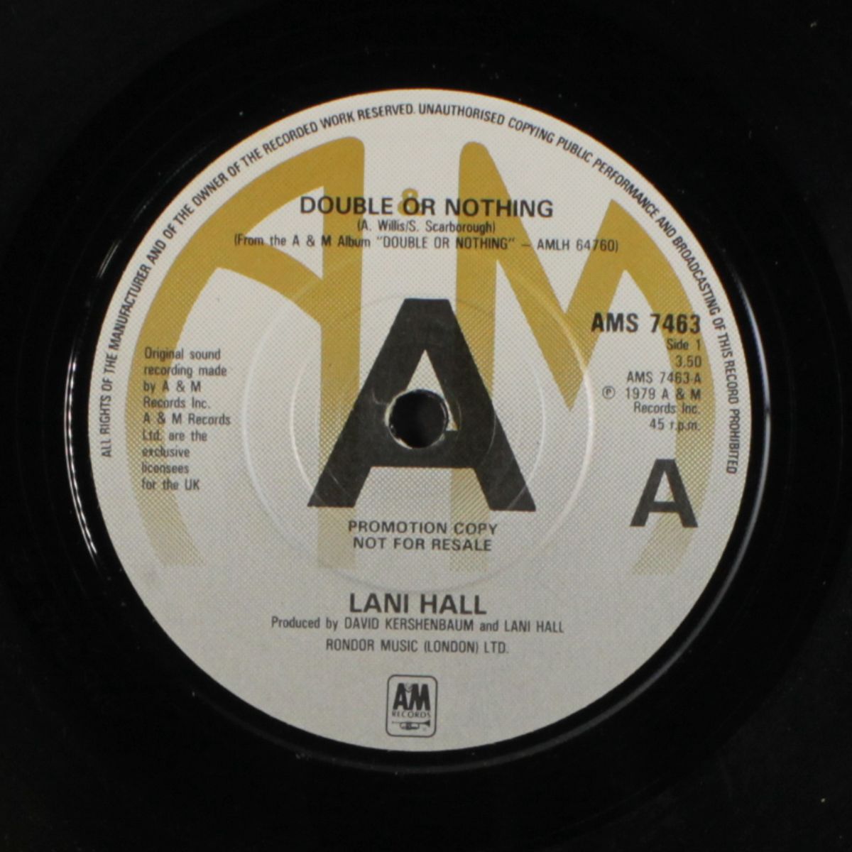 double or nothing / magic garden by LANI HALL