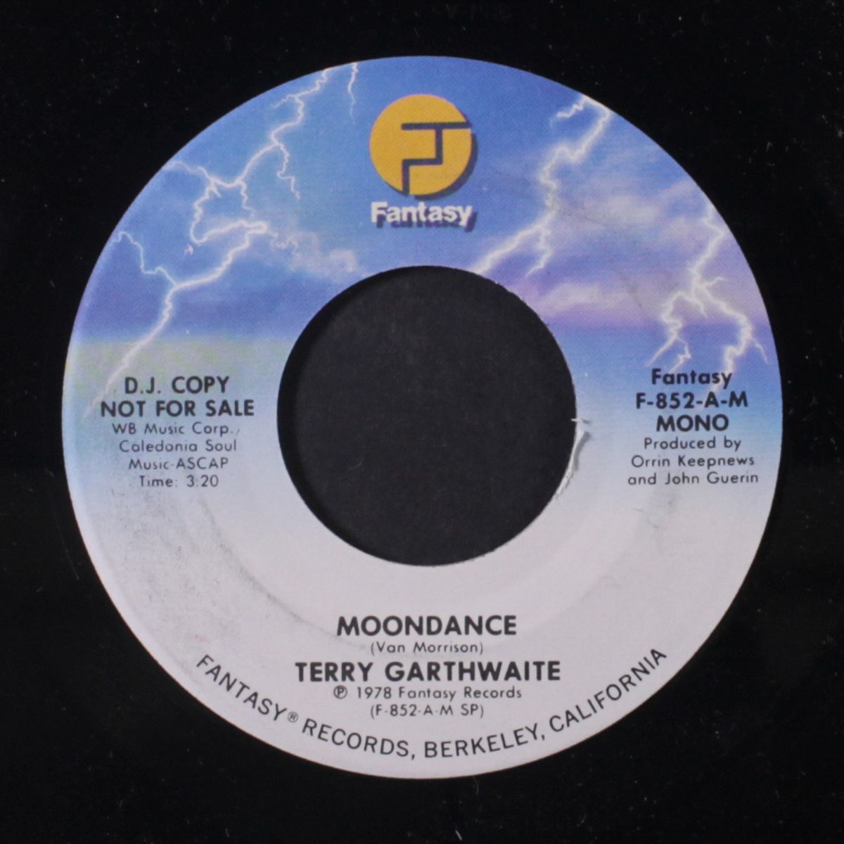 moondance / mono by TERRY GARTHWAITE