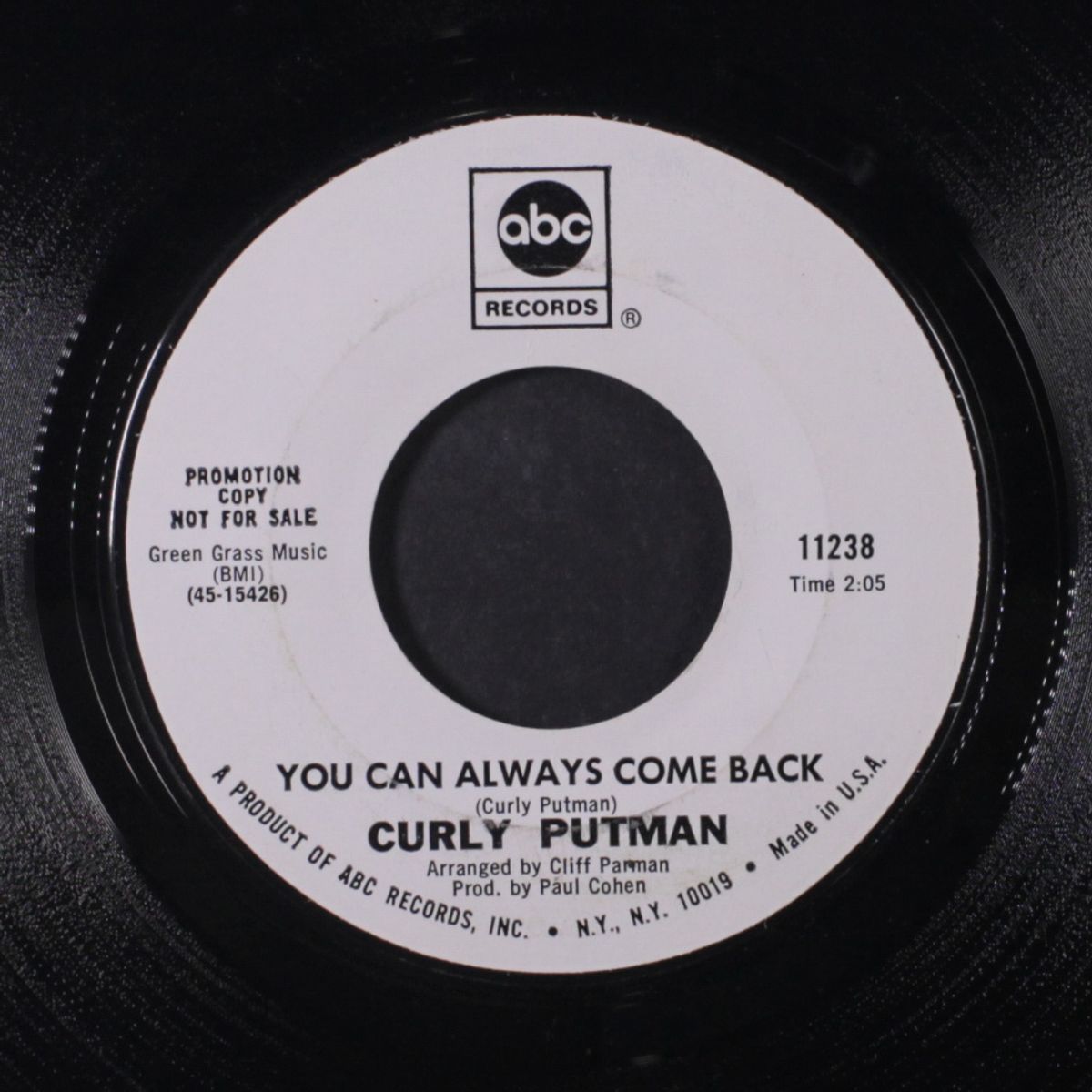 wild streak / you can always come back by CURLY PUTNAM