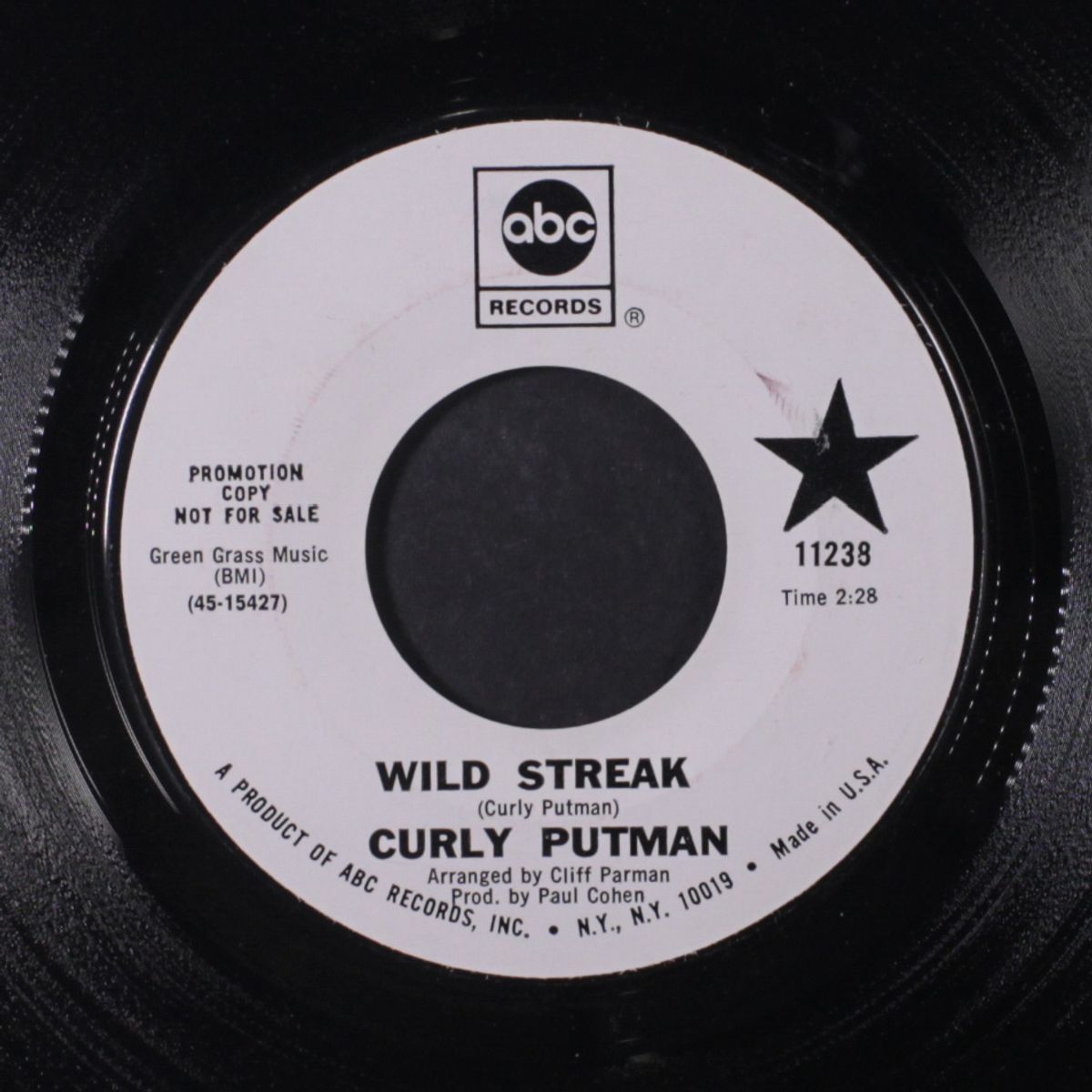 wild streak / you can always come back by CURLY PUTNAM
