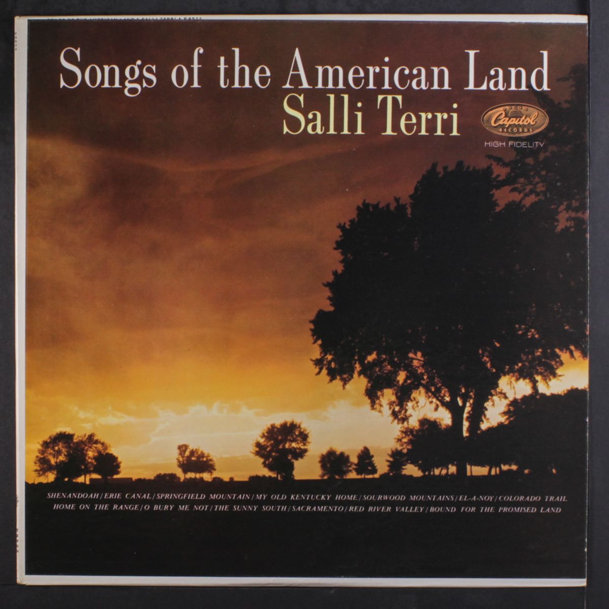 songs of the american land by SALLI TERRI