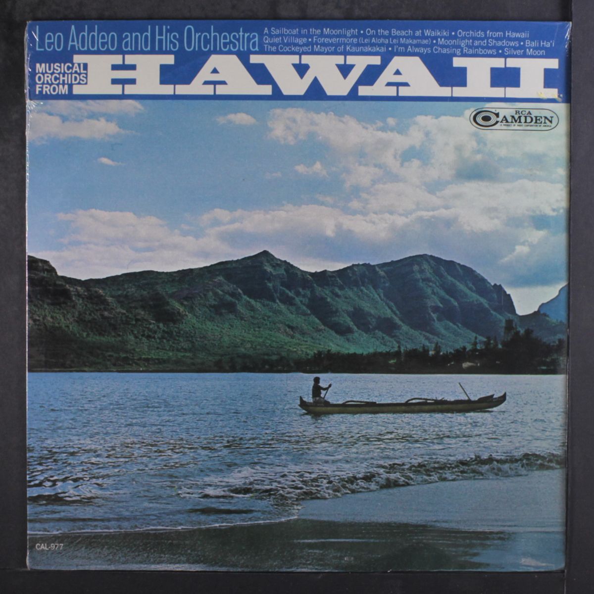 musical orchids from hawaii by LEO ADDEO