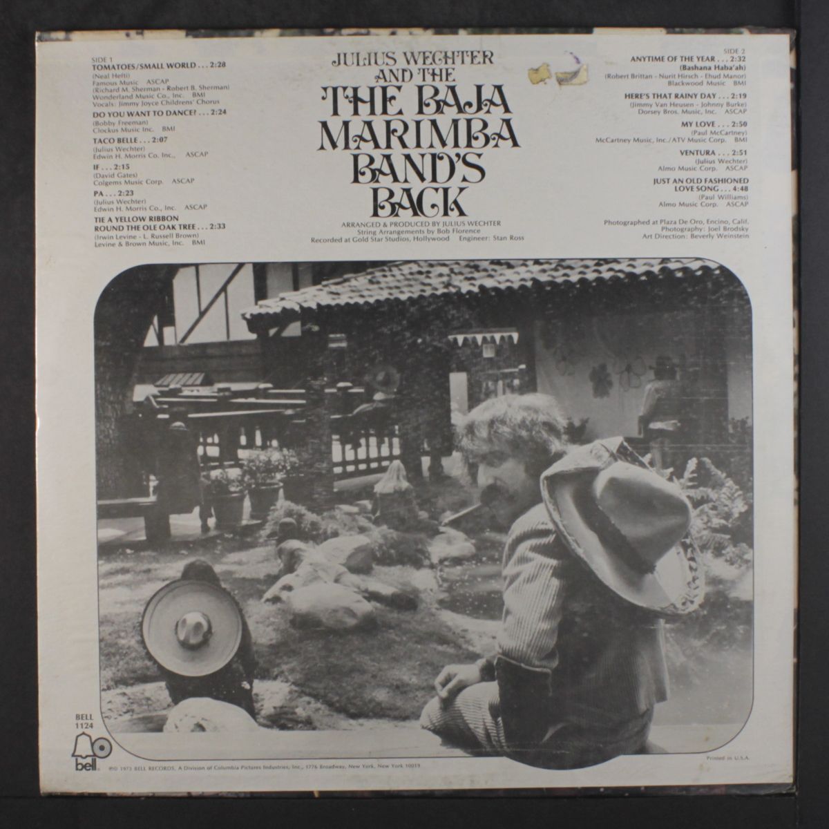 baja marimba band's back by JULIUS WECHTER & BAJA MARIMBA BAND