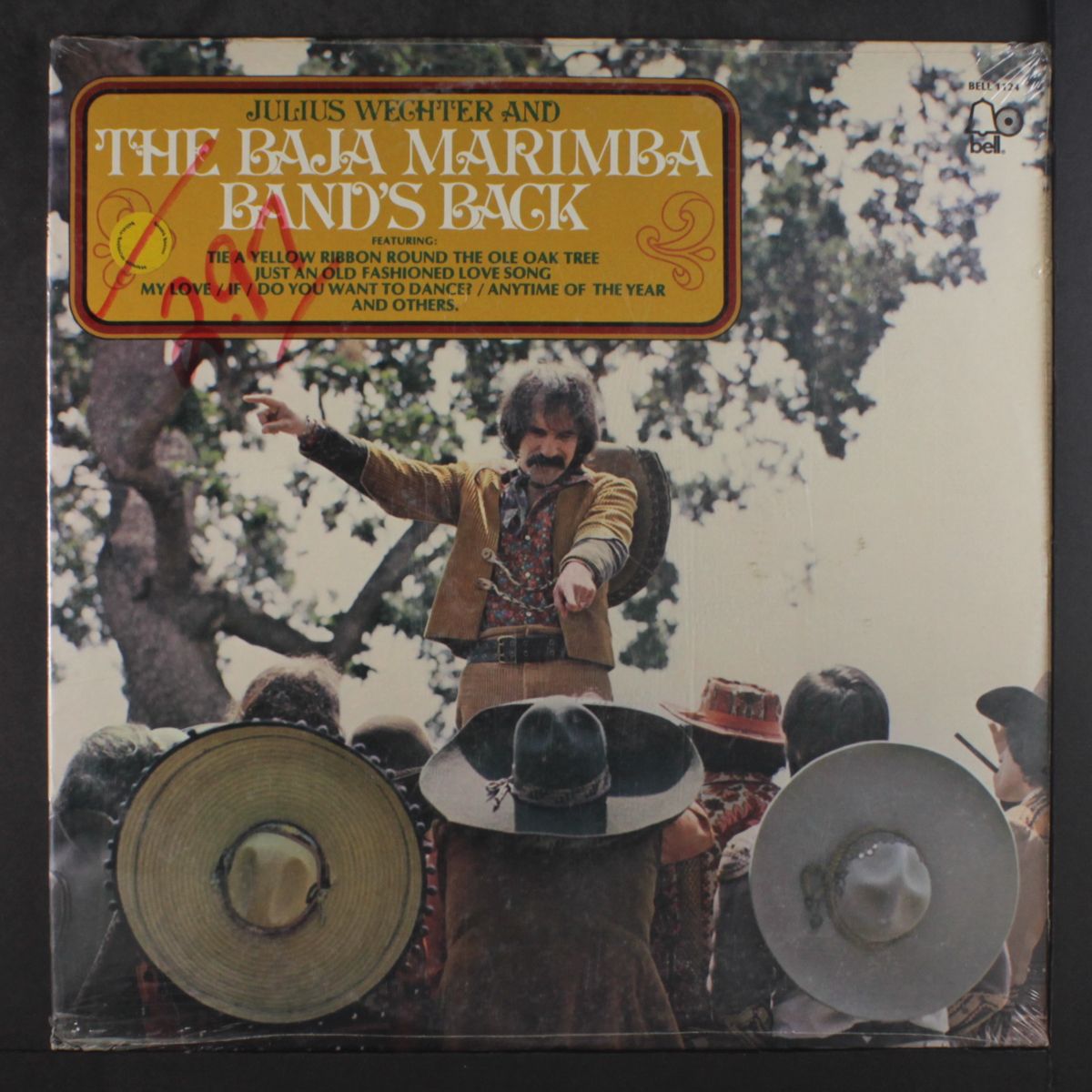 baja marimba band's back by JULIUS WECHTER & BAJA MARIMBA BAND