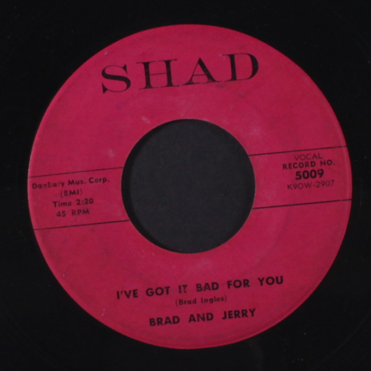the people hater / i've got it bad for you by BRAD & JERRY