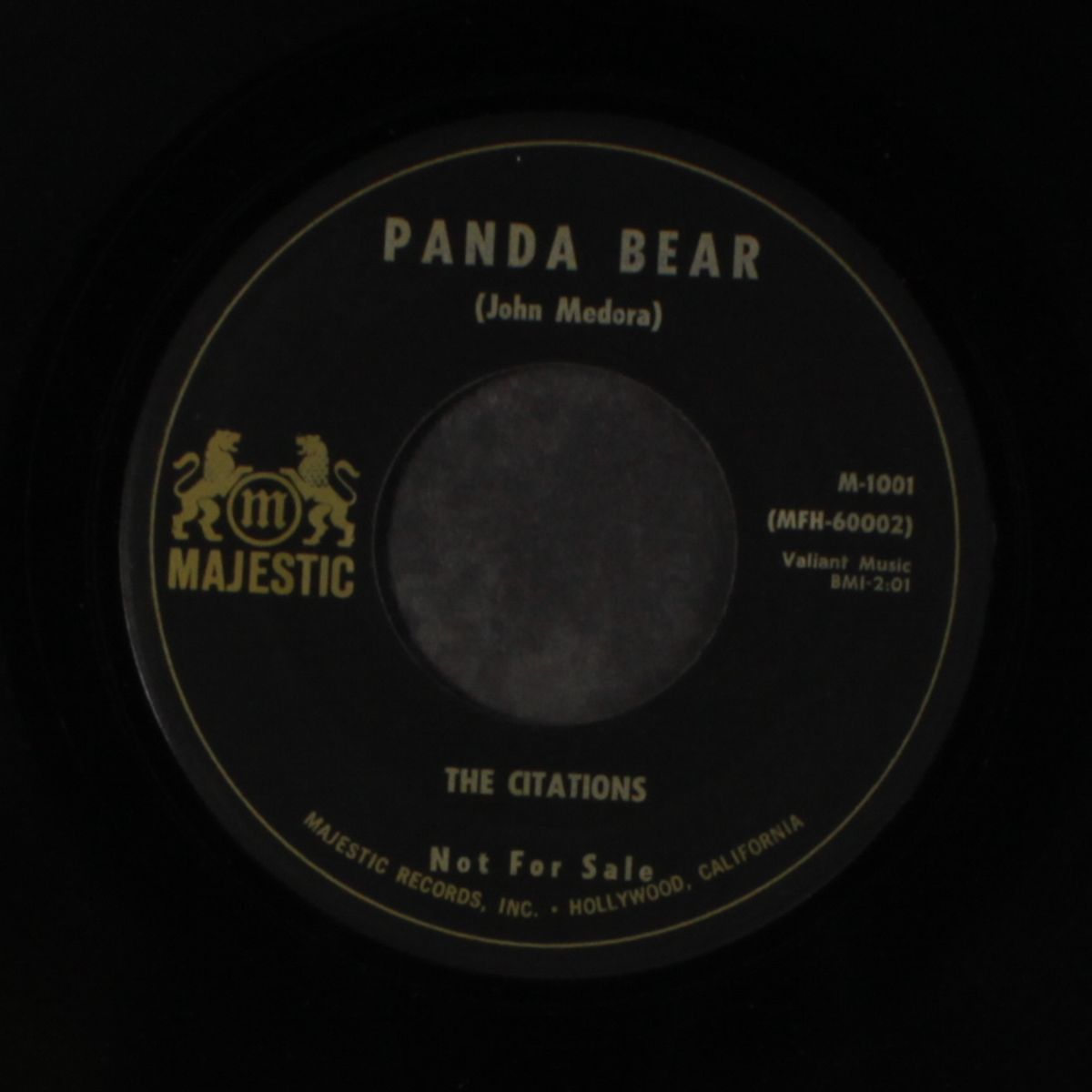 panda bear / the snake by CITATIONS