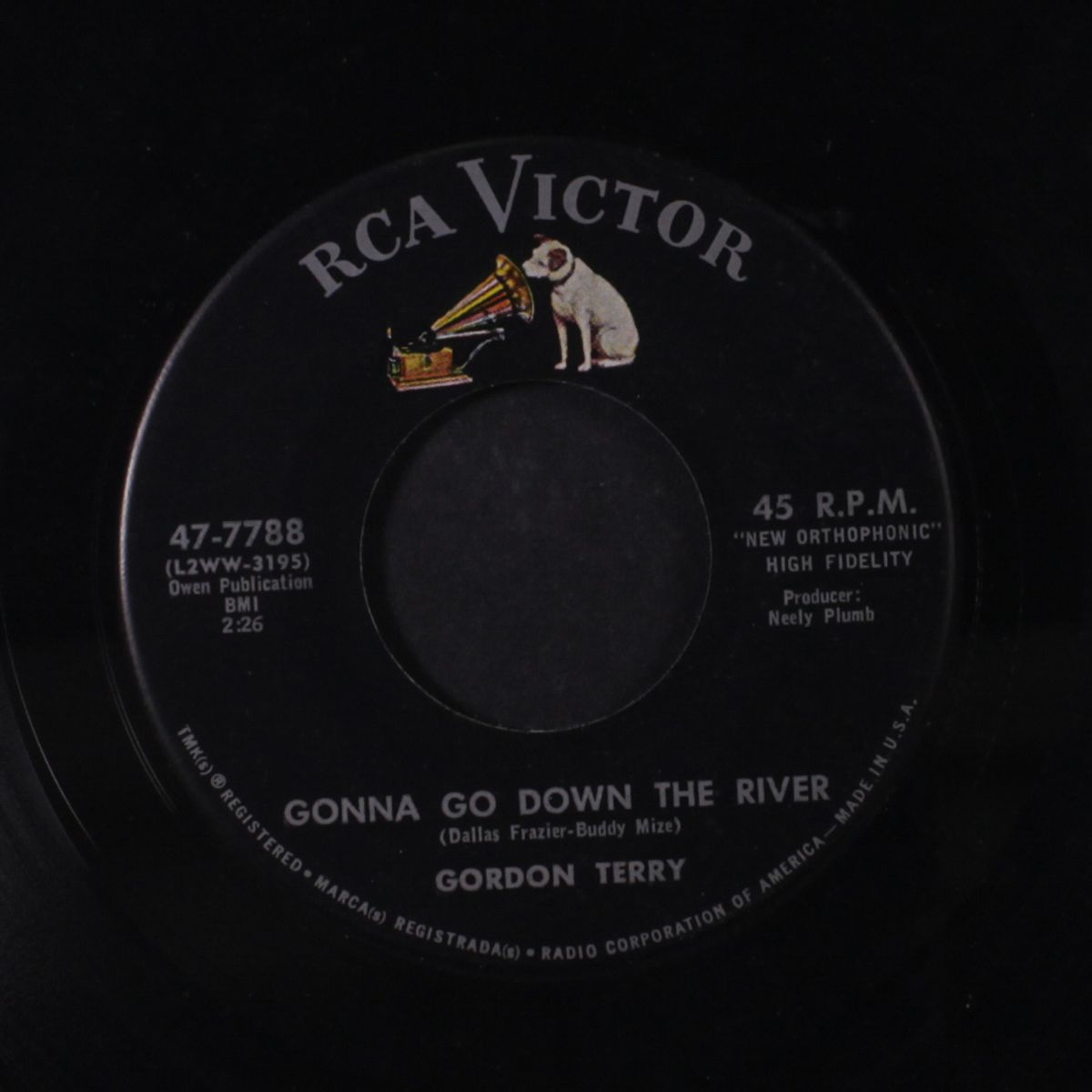 gonna go down the river by GORDON TERRY