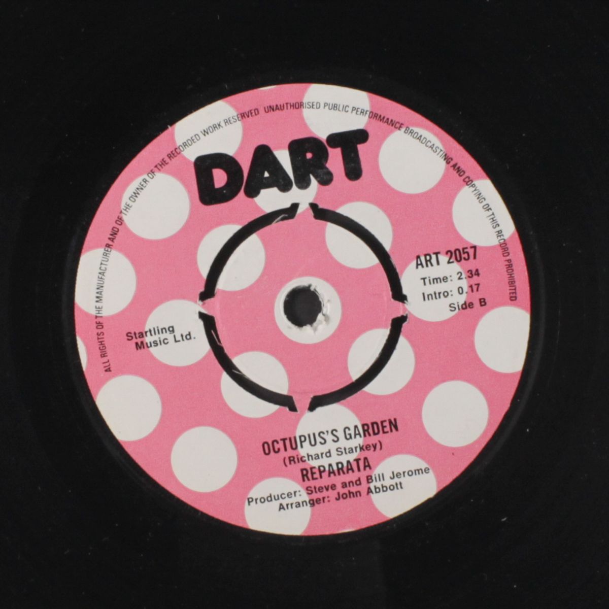 your life is gone / octopus's garden by REPARATA