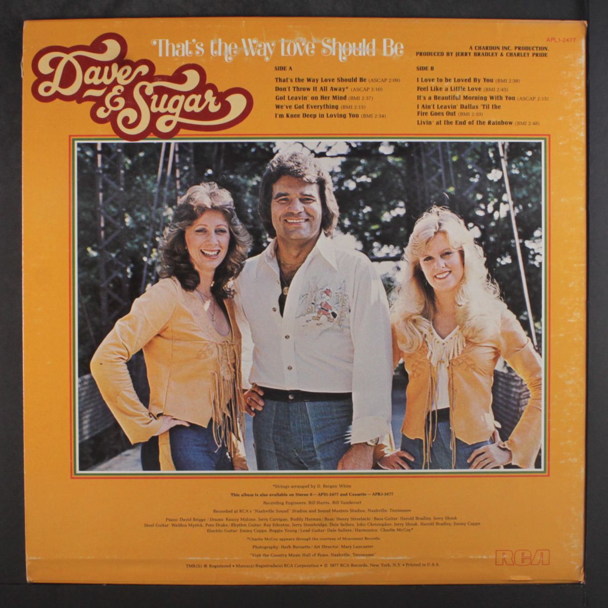 that's the way love should be by DAVE & SUGAR