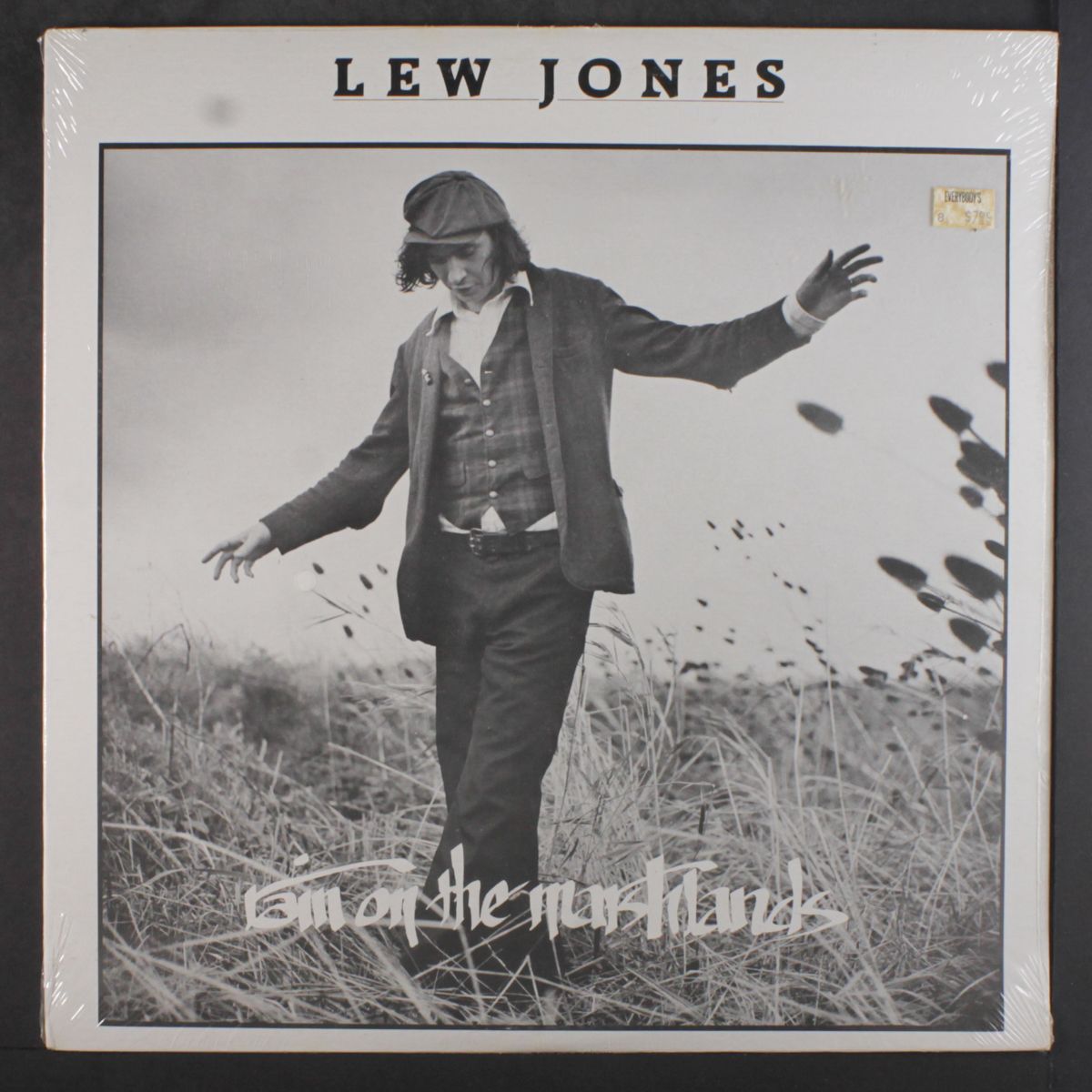 rain on the marshlands by LEW JONES