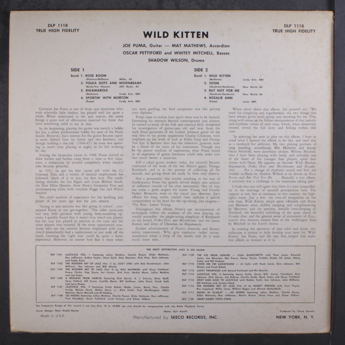 wild kitten by JOE PUMA