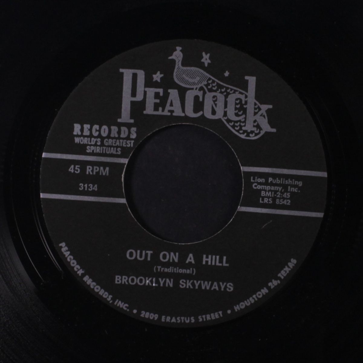out on a hill by BROOKLYN SKYWAYS