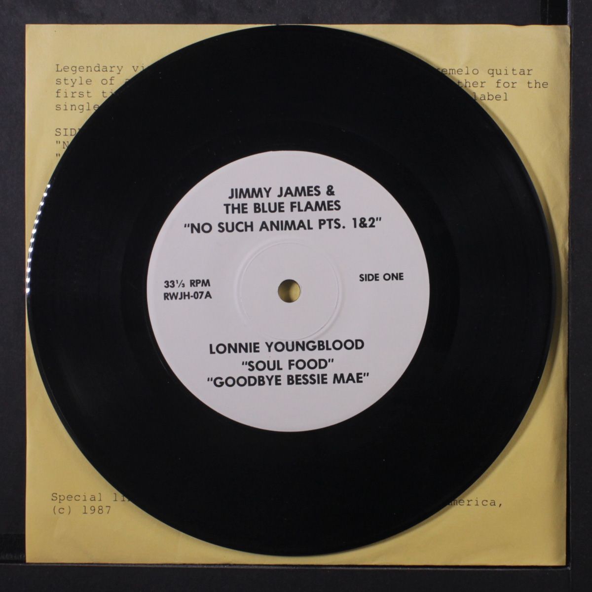 no such animal by JIMI HENDRIX