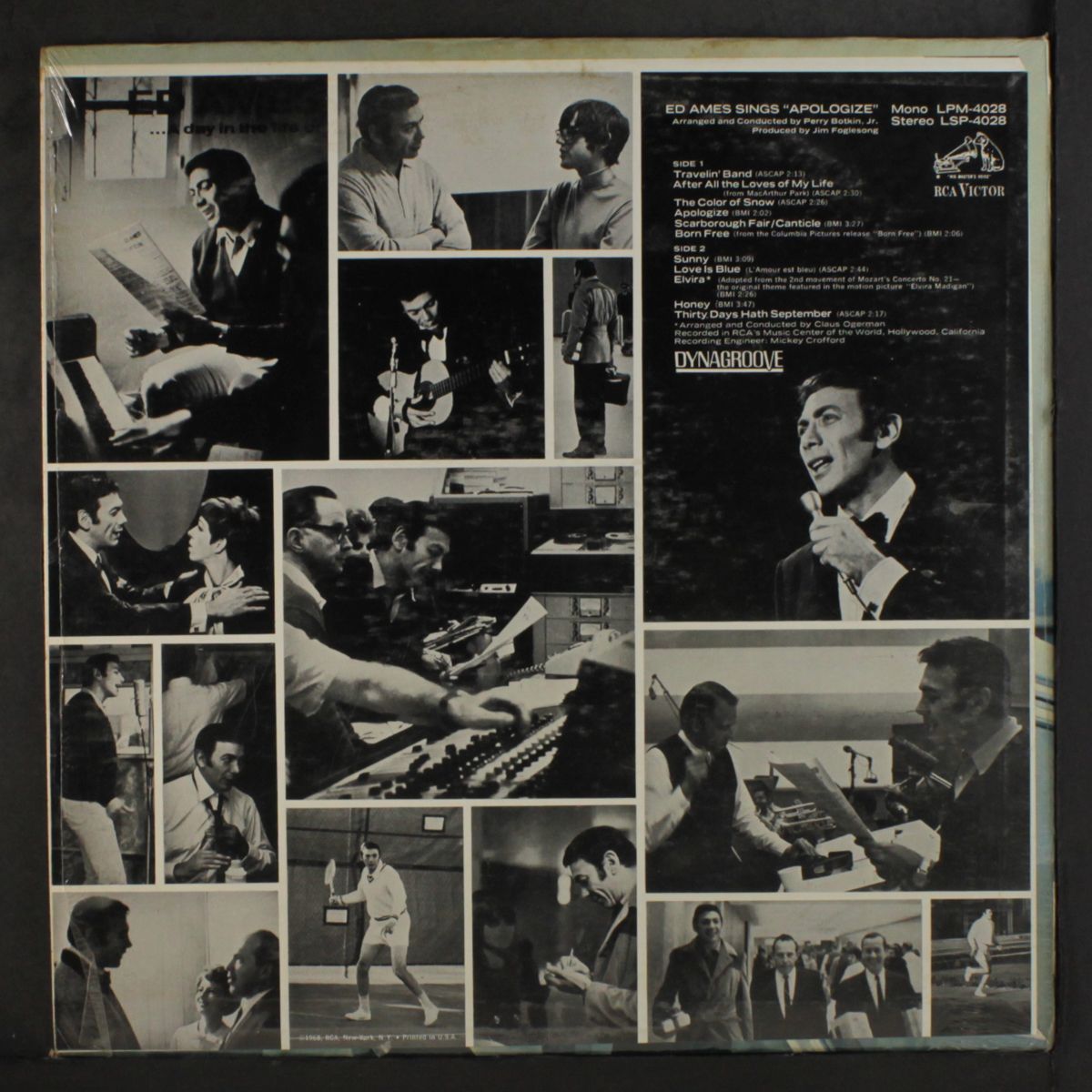 sings apologize by ED AMES