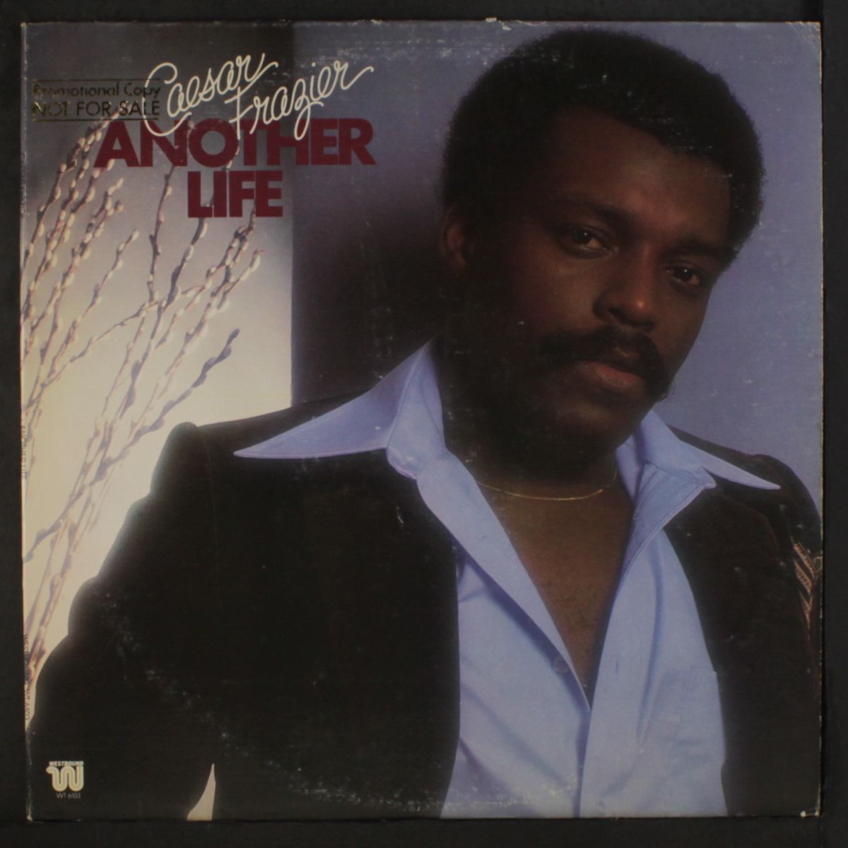 another life by CAESAR FRAZIER