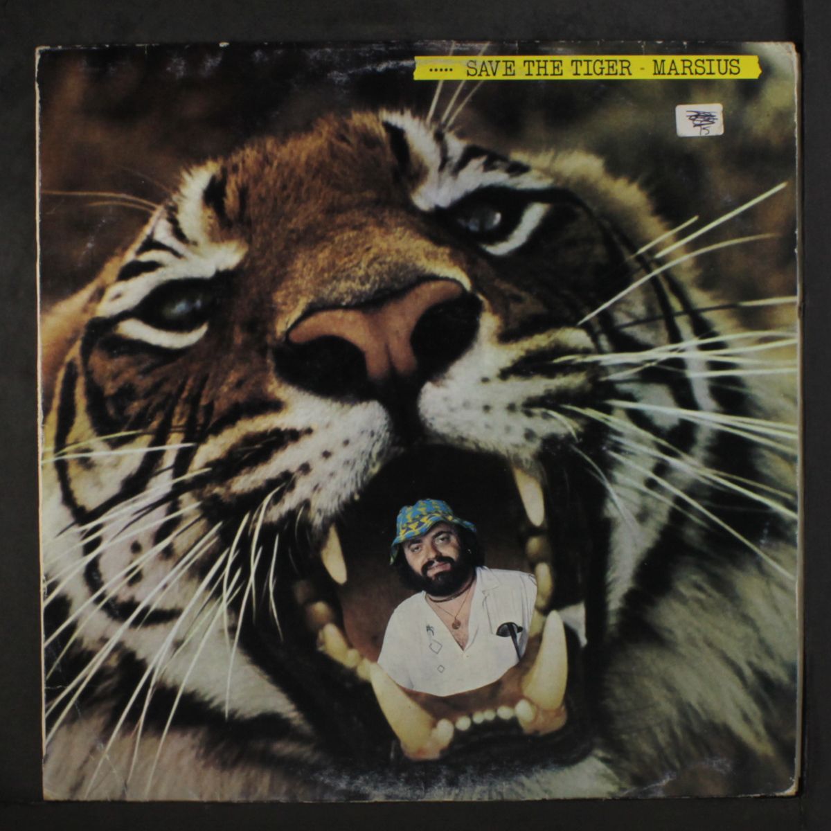 save the tiger by MARSIUS