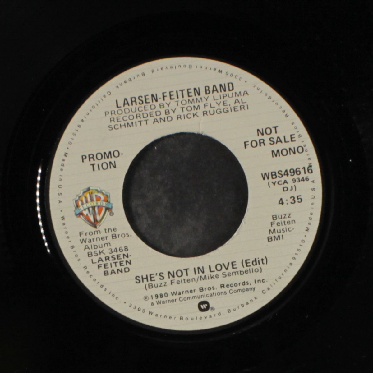 she's not in love / mono by LARSEN-FEITEN BAND