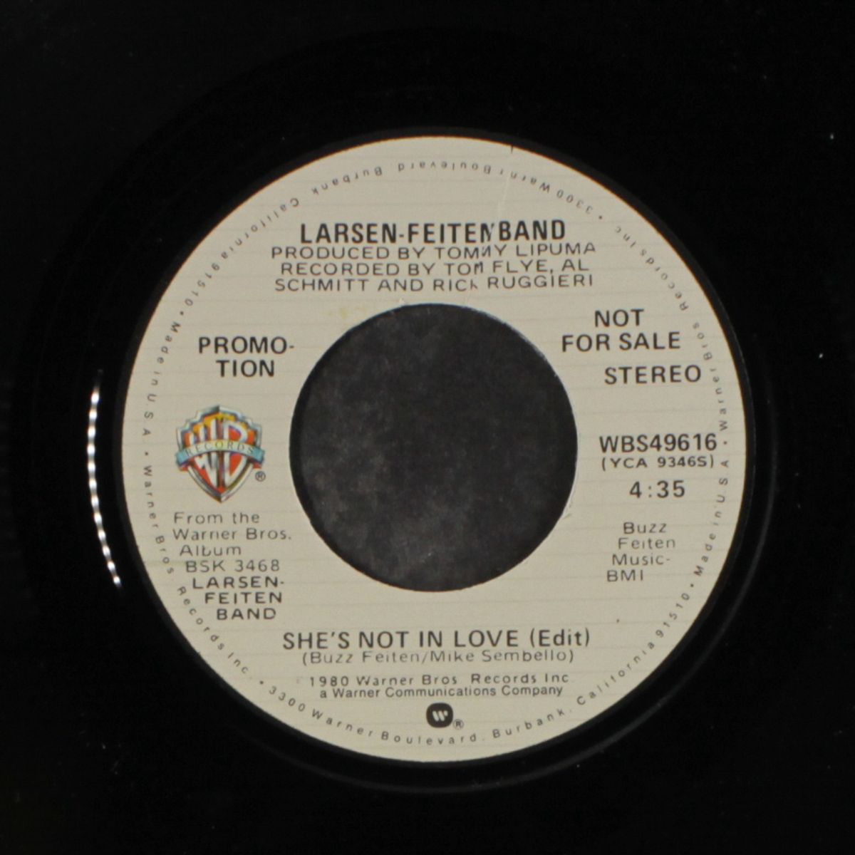 she's not in love / mono by LARSEN-FEITEN BAND