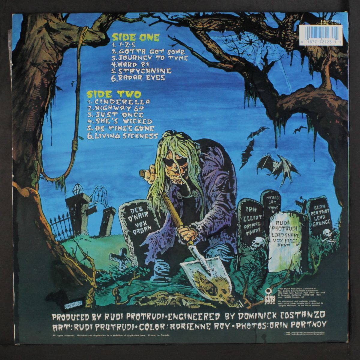 lysergic emanations by FUZZTONES