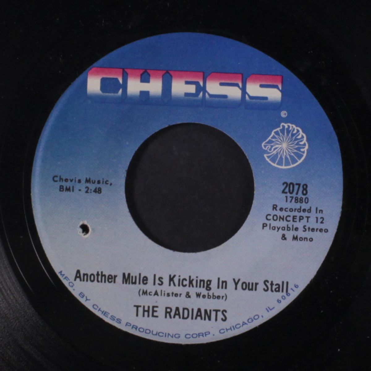 book of love / another mule is kicking in your stall by RADIANTS