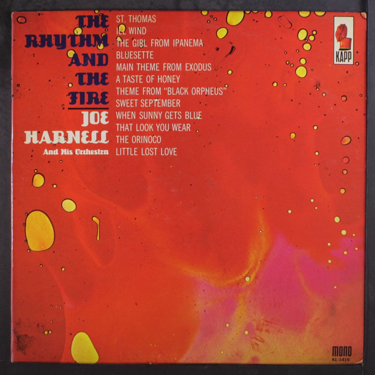 the rhythm and the fire by JOE HARNELL