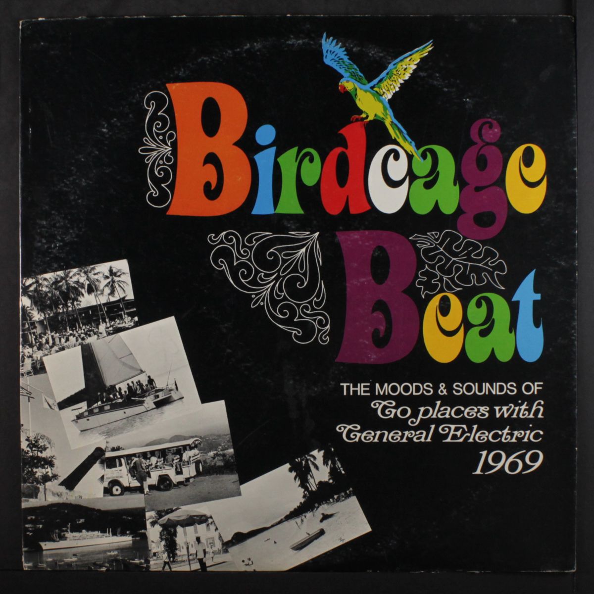 birdcage beat by JERRY SCOTT