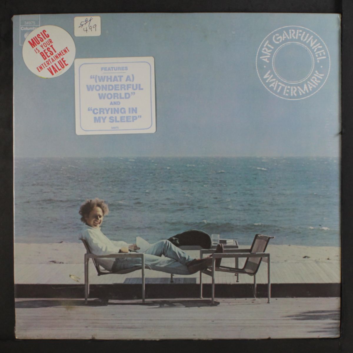watermark by ART GARFUNKEL
