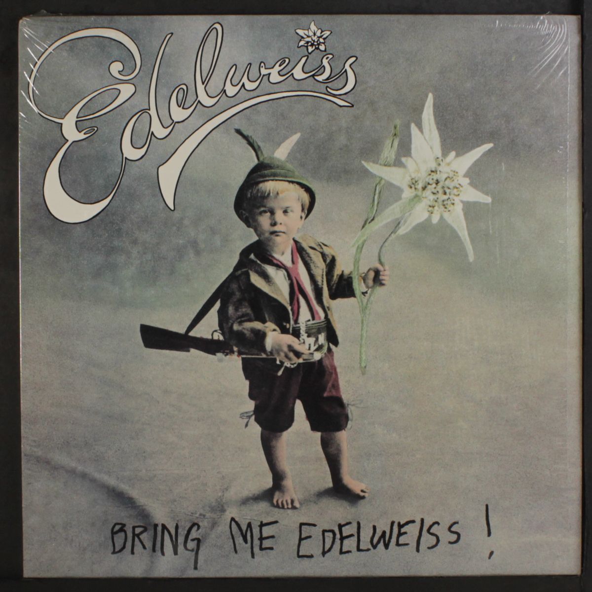 bring me edelweiss by EDELWEISS