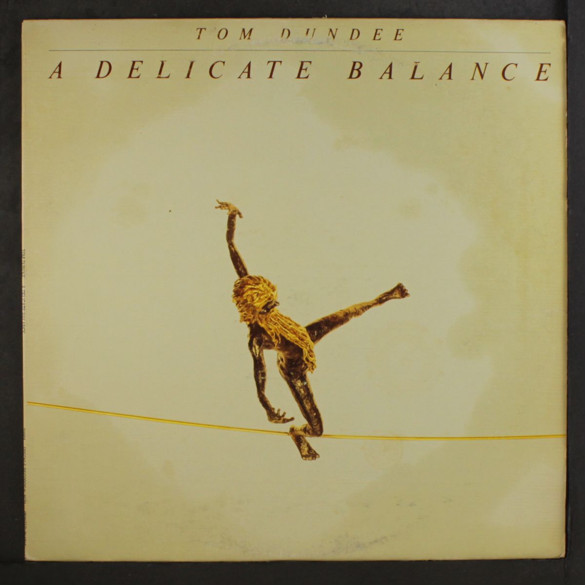 a delicate balance by TOM DUNDEE