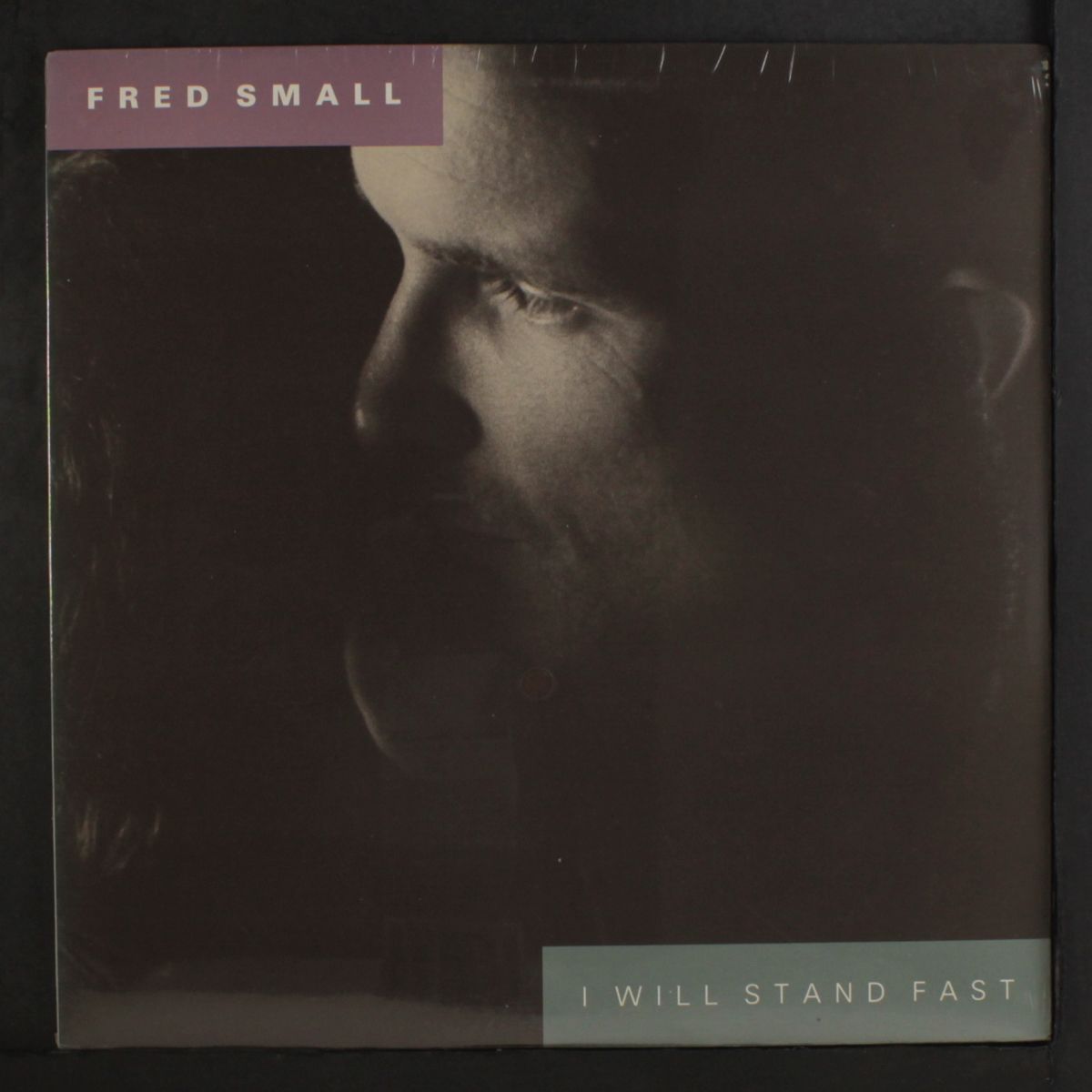 i will stand fast by FRED SMALL