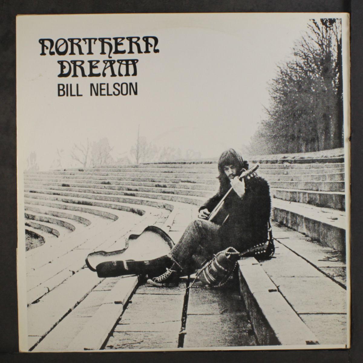 northern dream by BILL NELSON