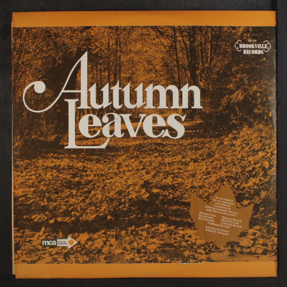 autumn leaves by VARIOUS