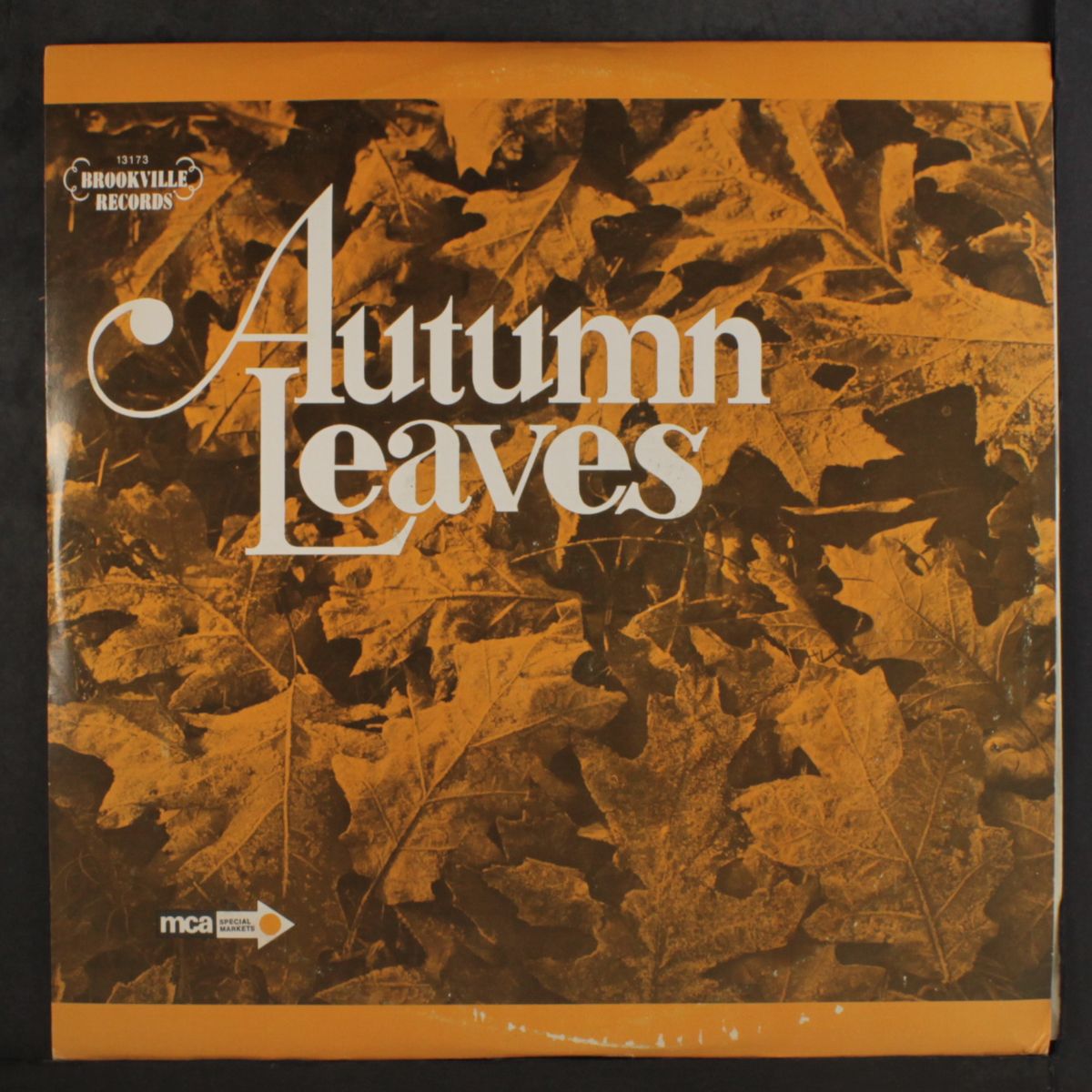 autumn leaves by VARIOUS